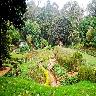 Sim’s Park